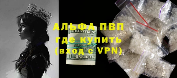 гашик Алексин