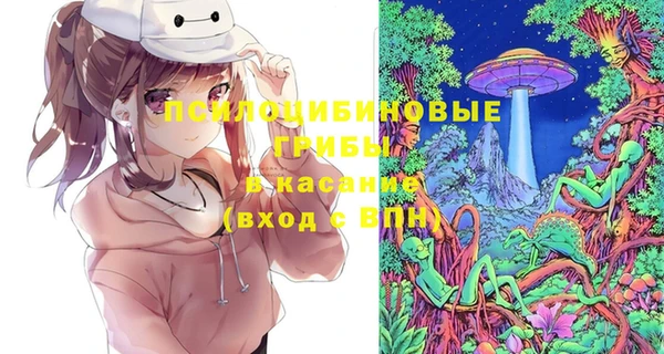 индика Алзамай
