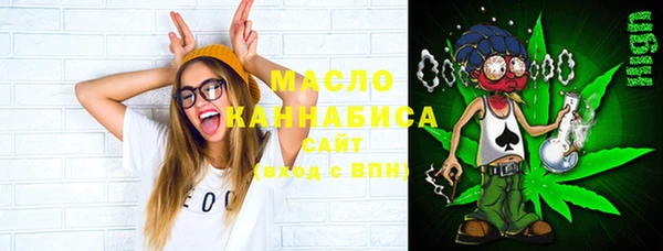 гашик Алексин