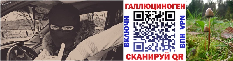 наркошоп  Магнитогорск  omg   Псилоцибиновые грибы ЛСД 