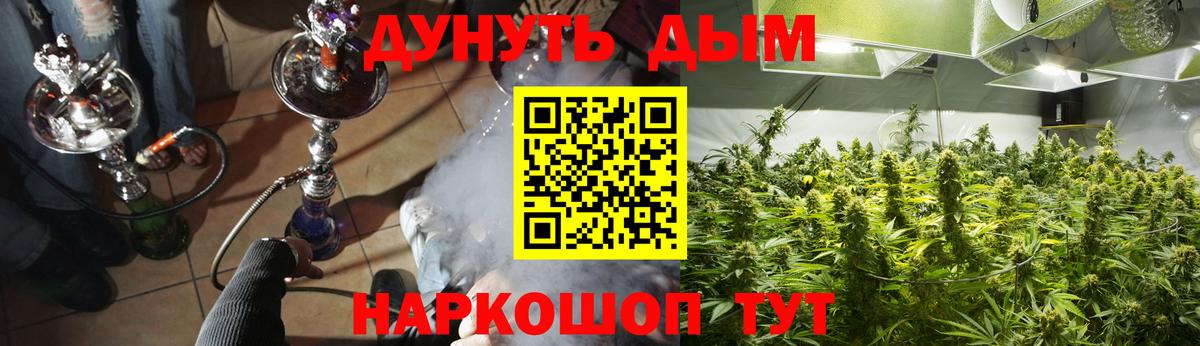 Шишки марихуана Amnesia  Марихуана Bruce Banner  Вход с VPN  Магнитогорск  МАРИХУАНА Ganja 